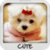 Cute Wallpapers by Nisavac Wallpapers