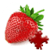 Macronutrient Calculator