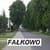 Falkowo