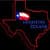 Houston Texans Fan