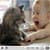 Funny Kids Video