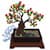 DIY Toys Bonsai Journals etc