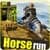 Temple Horse Adventure 2019