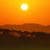 Summer Sunset Live Wallpaper 2