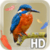 Bird Feathers LWP