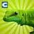 Lizard Simulator