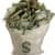 Dog Earn money
