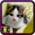 Cat Wallpaper Borders