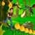 Jungle Castle Run Temple