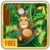 Crazy Monkey In Jungle