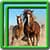 Fantastic Horses Live Wallpapers