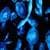 Jellyfish Live Wallpapers Free
