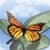 Kids can read  Buffy the Butterfly