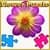 Jigsaw Puzzles Flower World