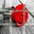 Red Rose jigsaw puzzle