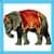 Kids Elephant
