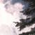 Nature Live Wallpaper 92