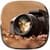 Dslr Blur Camera 2019