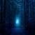 Night Fireflies Live Wallpaper