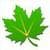 Greenify top