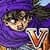 DRAGON QUEST V optional