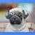 Amazing Pugs Wallpaper