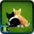 Pictures Of Kittens And Cats