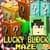 Lucky Block Maze - Survival new