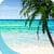 Perfect Beach VR regular