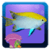 Count The Fish