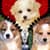 Dog Zipper Lock Screen