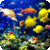 Magical Underwater Wallpapers