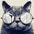 Cute Cat Live Wallpaper 2