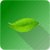 Ayurveda Home Remedies
