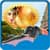 Hindi Photo Frames New