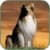 Lassie TV Show