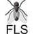 FLS
