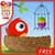 Cute Angry Bird : Easter Eggs