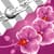 Clock Weather Widget Orchids