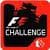 F1 Challenge rare