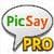 PicSay Pro - Photo Editor final