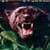 Scary Animal Animated