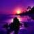 Sunset Live Wallpaper Best