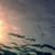 Nature Live Wallpaper 29