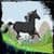 Dark Horse Run Game