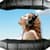 Best Nature Sounds Ringtones