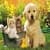 ANIMAL FUNNY GAMES 2014