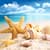 Seashells Live Wallpapers