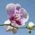 1047 Flowers Wallpapers
