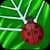 Bugs Jigsaw Game - Web Untangle